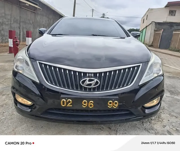 🚘hyundai grandeur hg300